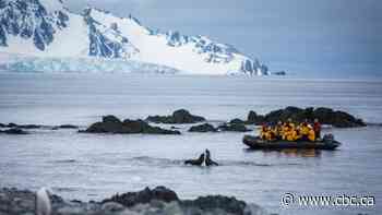 U of Sask. student and Indigenous artist invited to join Antarctic exhibition
