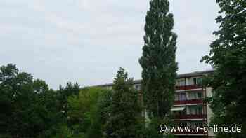 Wohnen in Guben: Warum es an der Leonhard-Frank-Straße in Guben so wild aussieht - lr-online.de