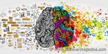 Discover the Different Lobes of the Brain