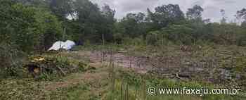 Polícia Militar prende seis homens por crime ambiental na Soledade - Fax Aju