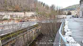 Rat segnet Haushalt ab - Rücklagen und Kredite sichern Investitionen von Schramberg - Schwarzwälder Bote