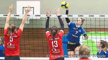 Villingen brennt auf Revanche - Gegen Heidelberg ist noch eine große Rechnung offen - Schwarzwälder Bote