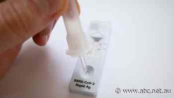 Labor would provide 'limited' free RAT supply, improve local manufacturing