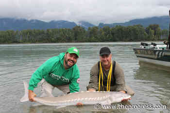 LETTER: Sturgeon fishing is cruel and archaic – Chilliwack Progress - Chilliwack Progress