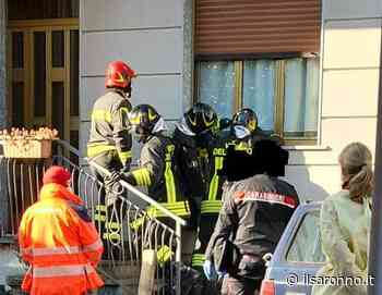 Morto in casa in via Don Monza l'angelo dei gatti del quartiere - ilSaronno