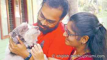 After police turn cold to complaint, engineer brothers trace Bruno within 10 days via CCTV visuals - Mathrubhumi English