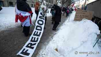 What you need to know about COVID-19 in Ottawa on Saturday, Jan. 29 - CBC.ca