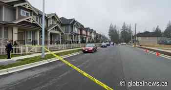 No injuries in shooting near Langley, B.C. elementary school - Globalnews.ca