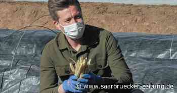 Eltern verärgert: Besuch im Kindergarten während Corona – Staatssekretär Sebastian Thul entschuldigt sich - Saarbrücker Zeitung