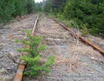 Discussion time: The latest rail/trail debate - - Adirondack Almanack