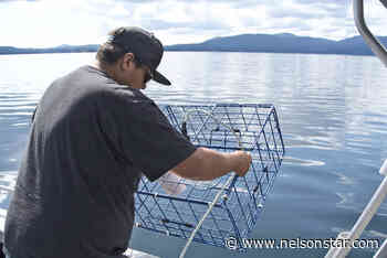 Malahat Nation working to remove 'ghost gear' from Salish Sea – Nelson Star - Nelson Star