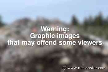 Princeton area pig composter gets warning letter from ministry – Nelson Star - Nelson Star