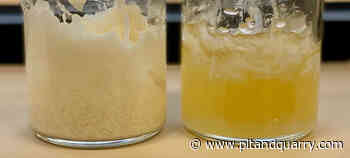 Nelson Brothers debuts co-emulsifier - Pit & Quarry magazine