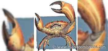 “Historias y Relatos” - “Los Cangrejos de Cuernavaca” - Diario de Morelos