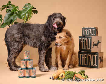 The rise of plant-based dog food brands in the UK - The Vegan Review