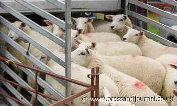 Richard Wright: EU seeks tough food sovereignty and livestock transport rules - Press and Journal