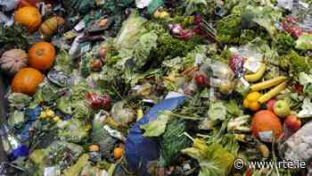 Green meals: The apps aiming to cut food waste - RTE.ie