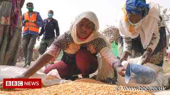 Ethiopia civil war: Doctors among those begging for food in Tigray - BBC News