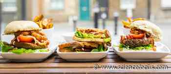 Vegan fast-food: why plant-based alternatives are good for the planet but not your health - BBC Science Focus Magazine