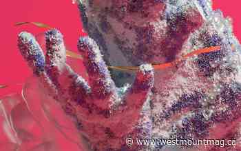 Striking visuals for the 40th edition of FIFA - westmountmag.ca