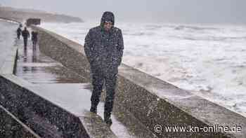 Sturm „Malik“ wütet in Europa: Frau und Kind in Schottland von Bäumen erschlagen - ein Toter in Polen