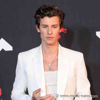 Shawn Mendes delays European tour
