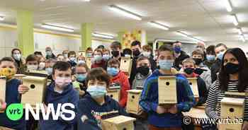 Leerlingen Bernardustechnicum bouwen 400 nestkastjes voor Oudenaarde - VRT NWS