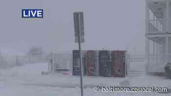 Ocean City Hit With 9 Inches Of Snow Saturday Morning - CBS Baltimore