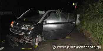 Bekifft in Hecke gelandet: 27-Jähriger aus Ascheberg wird in Krankenhaus eingeliefert | Herbern - Ruhr Nachrichten