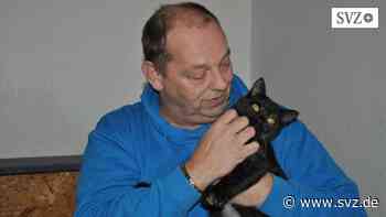 Gefundene Katze ausgesetzt: Tierschützer stellen Anzeige gegen Ordnungsamt Parchim | svz.de - svz – Schweriner Volkszeitung