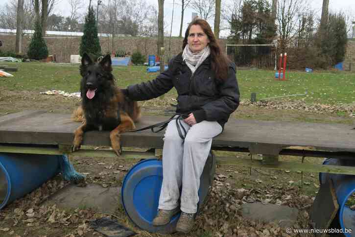 Laatste lessen voor De Moedige Bijters op vertrouwde pleinen langs Albertkanaal: “Dit doet pijn”