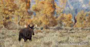Teddy Roosevelt’s Descendant Narrates Impassioned Spot For Jackson Hole