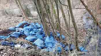Siegen: Reste von Cannabisplantage unter A 45-Brücke gekippt - Westfalenpost