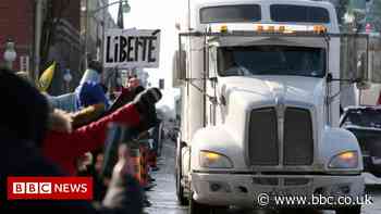 Freedom Convoy: Why Canadian truckers are protesting in Ottawa