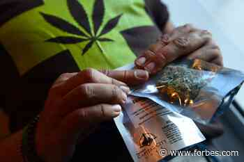 Medical Marijuana Is An Exciting Therapeutic Tool – But Watch Out Where You Get Your Advice - Forbes