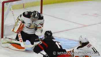 Gibson makes 44 saves, Anaheim Ducks down Ottawa Senators 2-1 - Lethbridge News Now
