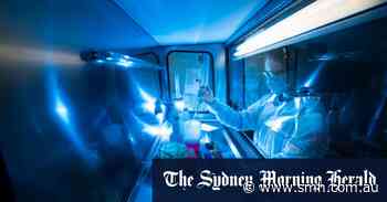 ‘No reason to panic’: Scientists sanguine about Omicron’s new sister - Sydney Morning Herald