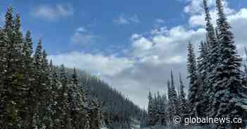 Snow en route to Alberta for Monday: Environment Canada