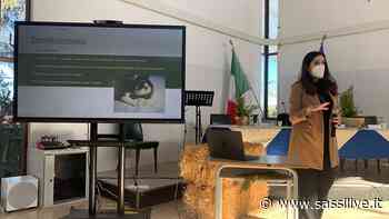 Itas Briganti di Matera apre le porte agli amici a quattro zampe, incontro conclusivo progetto Antares - Sassilive.it