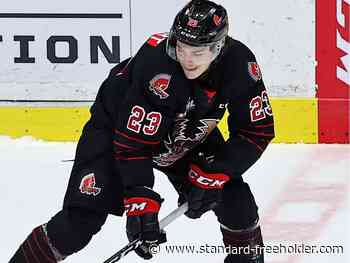 Atley Calvert's hat trick powers Warriors past Pats - Standard Freeholder