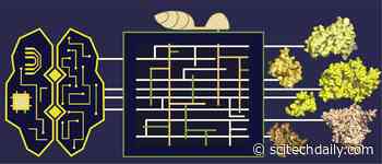 Pathogen Evolution: New Structure Prediction Model Mapped 500 Previously Unsolved Proteins