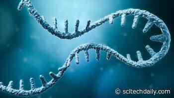 How mRNA and DNA Vaccines Could Soon Treat Cancer, HIV, Genetic Diseases, and More