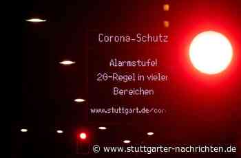 Impfpflicht - Darf der Staat Ungeimpfte erziehen? - Stuttgarter Nachrichten