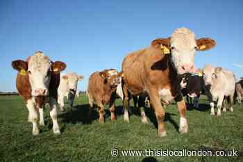 The Farming Crisis by Gilbert Edwards, Dulwich College