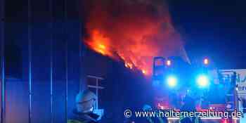 Haben Schweißer oder Stromkabel Millionenschaden in Stadtlohn verursacht? - Halterner Zeitung