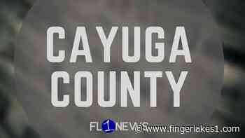 Cayuga County Conservation District holds annual tree sale - fingerlakes1.com