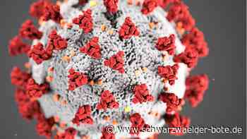 Corona im Kreis Calw - Landkreis knackt die 1000er-Marke - Schwarzwälder Bote