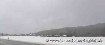 43 Einfamilienhäuser und ein Vierseithof mit Wohnungen in Seiboldsdorf – Bebauungsplan wurde aufgestellt - Traunsteiner Tagblatt