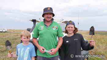 Repairing Gippsland's saltmarshes to earn blue carbon credits 'a win for everyone'