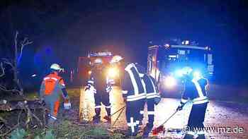 Wegen Dach, Bäumen und Stromleitung im Kreis Wittenberg im Einsatz - Mitteldeutsche Zeitung